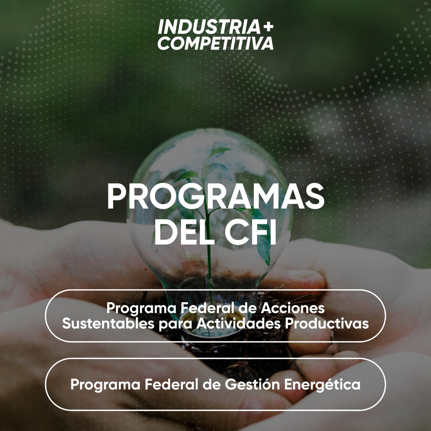 Convocatoria para los programas del CFI dirigidos a empresas