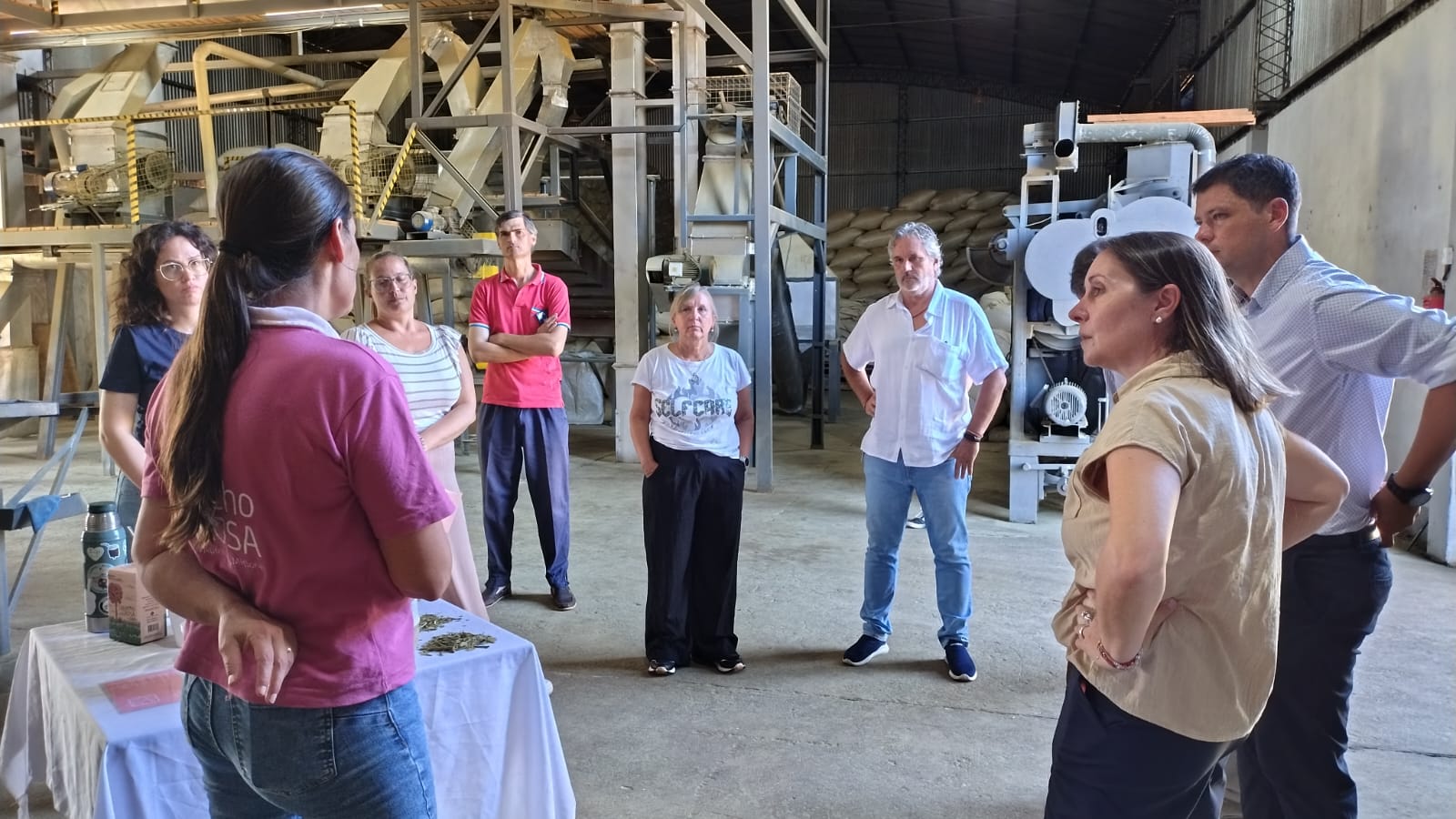 Ms innovacin y nuevos mercados consolidan oportunidades de crecimiento 02