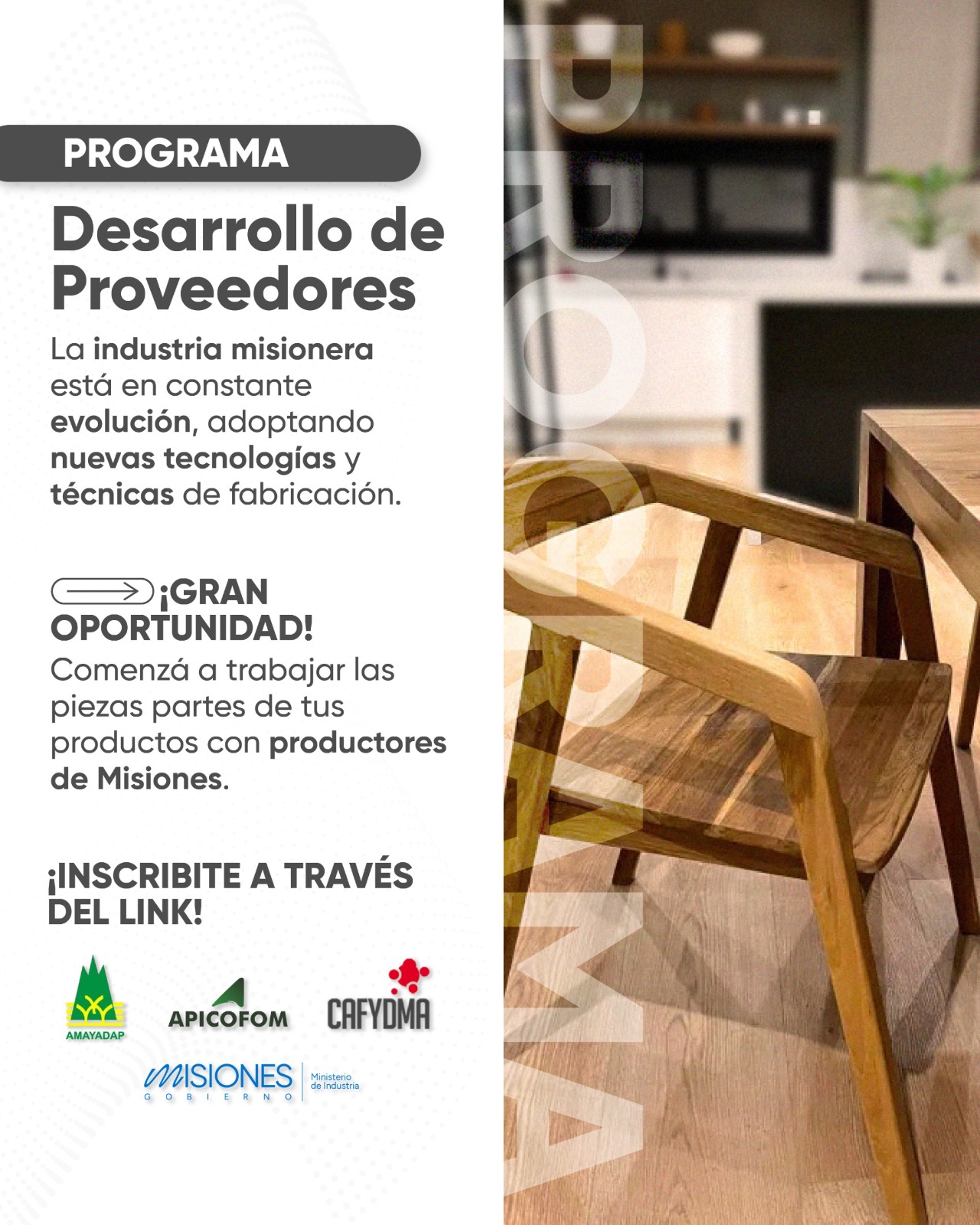 CONECTANDO INDUSTRIA Y PROVEEDORES